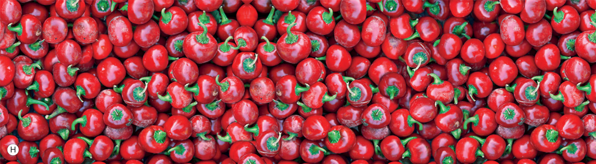 DanKuchen boje kuhinja zidne obloge Paprika rot